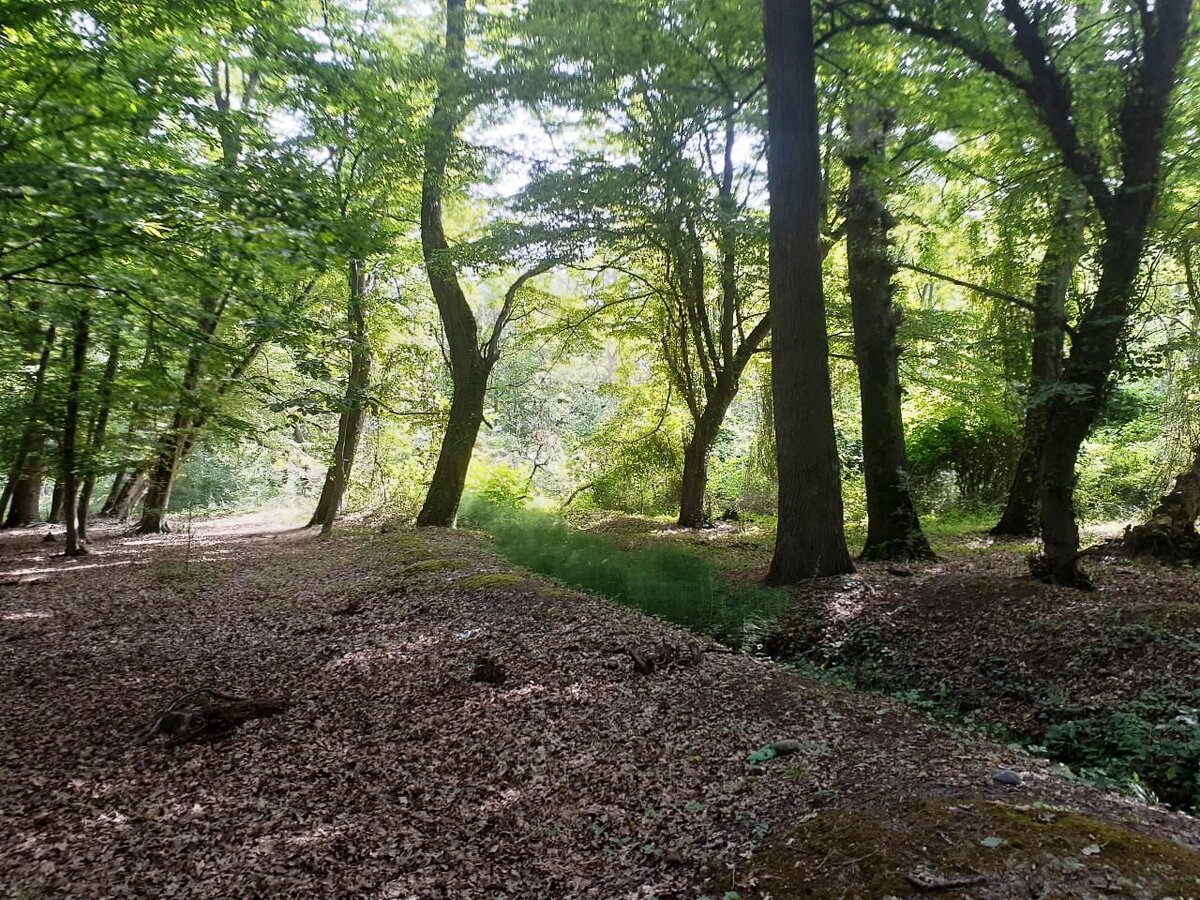 Самурский лес в дагестане карта