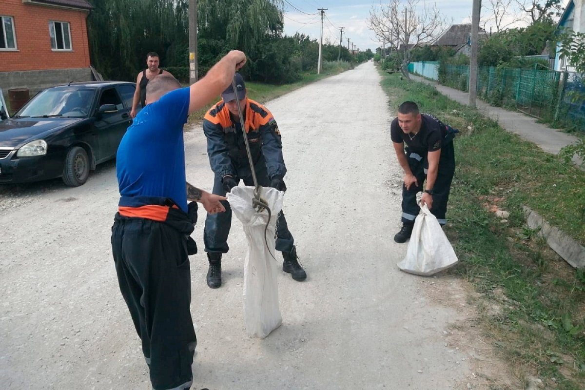    В Краснодарском крае в частном доме отловили сразу четыре змеи