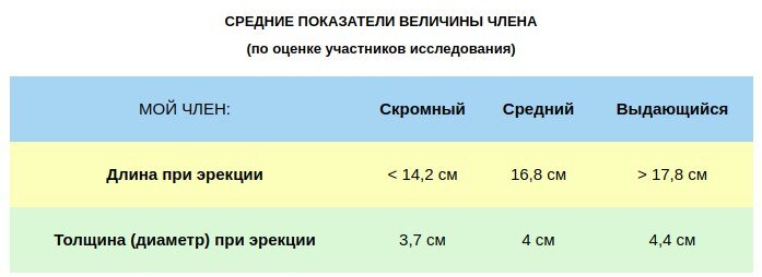 Что такое нормальный или средний размер полового члена — блог медицинского центра ОН Клиник