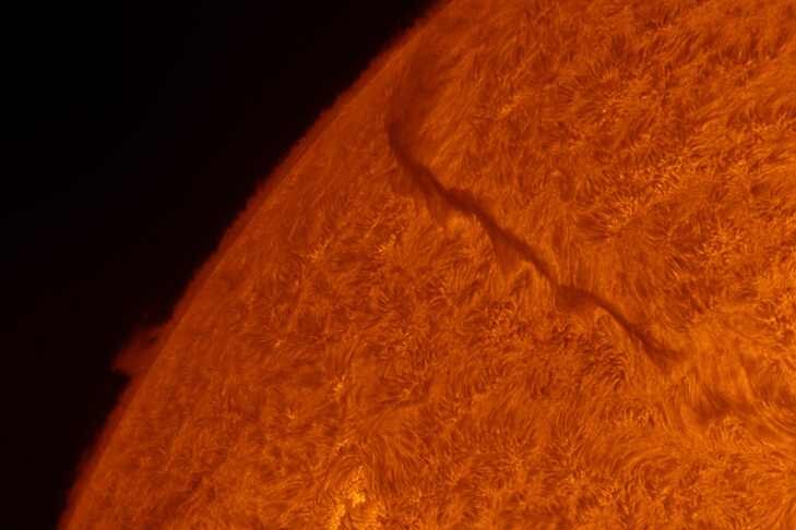    Фото Алексея Полякова