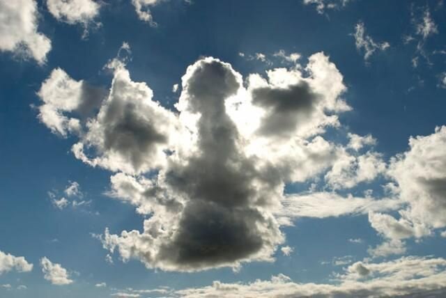 Яндекс. Картинки. 