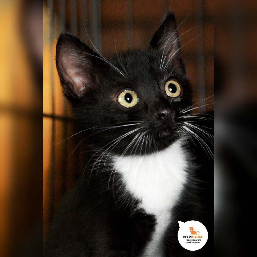 Мизинчик приехал с передержки.