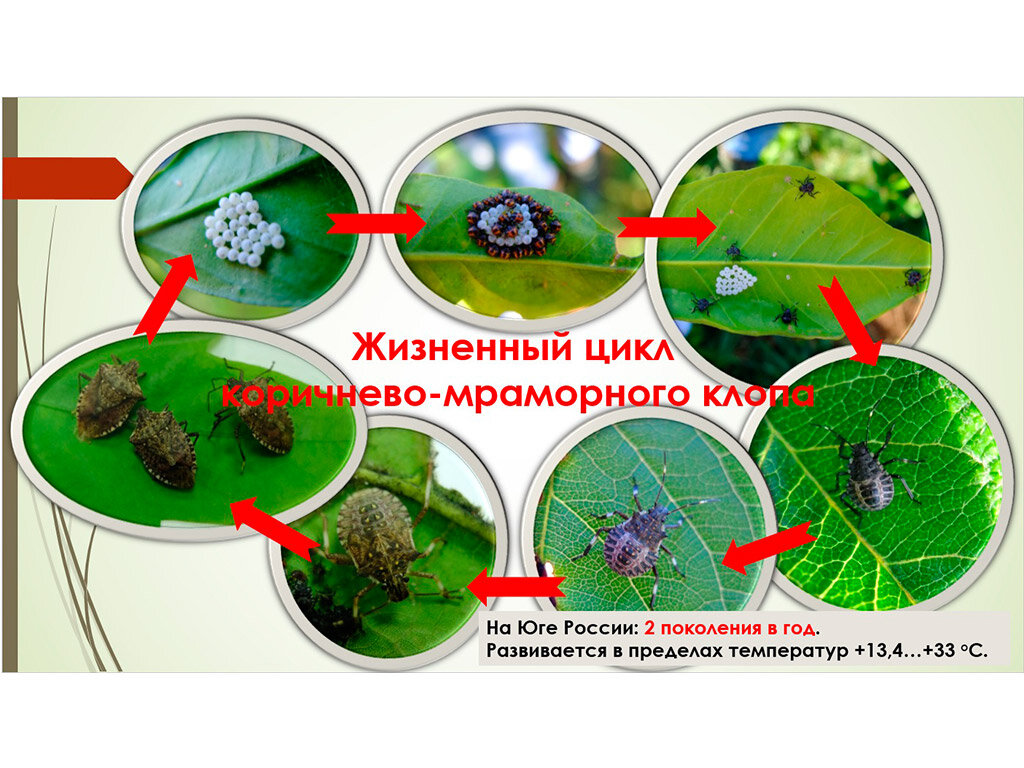 Фото взято из открытых источников ЯндексКартинки