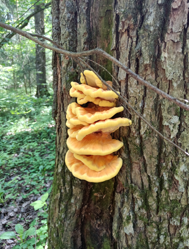 Автор фото Евгения Б.