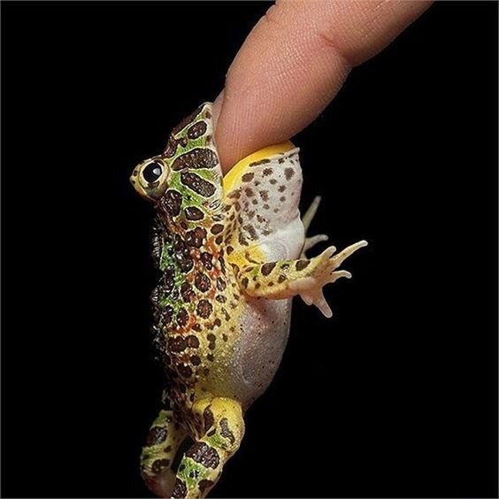 Навязчивые мысли