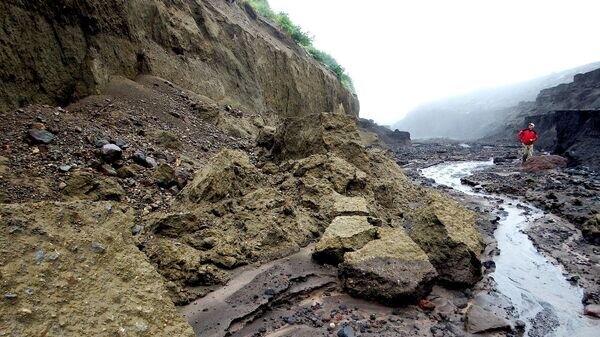    CC0 / Natalia Kollegova /