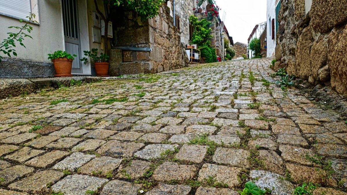 День подсчета камешков на мостовой. Фото: pxhere.com