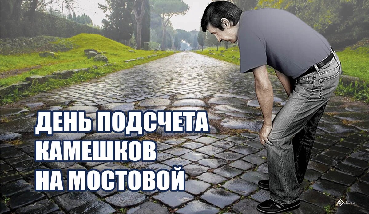 День подсчета камешков на мостовой. Иллюстрация: «Весь Искитим»