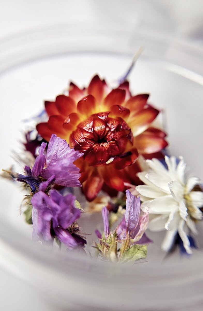 Макрофото от автора 😇