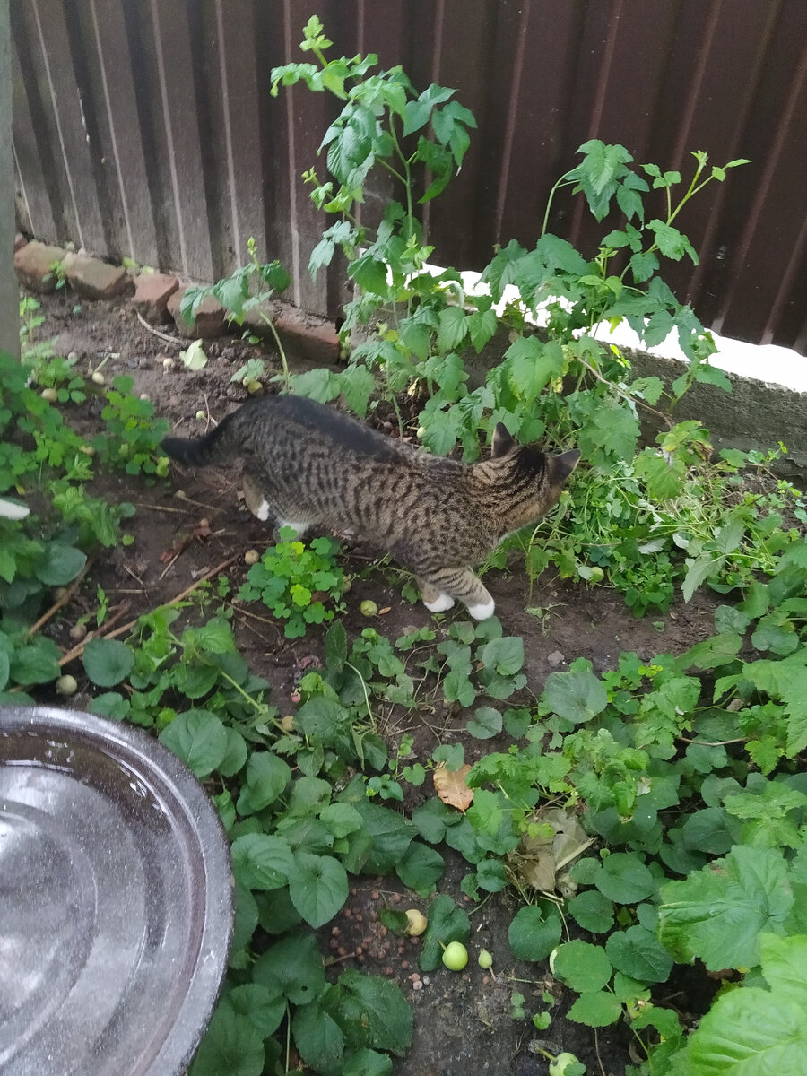 А я вижу сейчас приду .