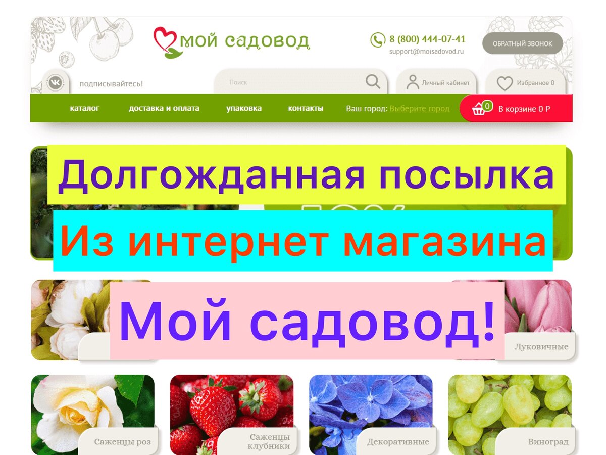 Интернет магазин мой садовод в крыму. Мой садовод питомник. Магазин мой садовод. Саженцы садовод. Магазин мой садовод.