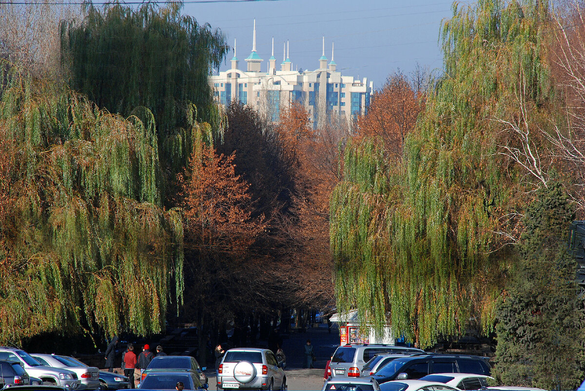 Фото: Olga Kudriavtseva/Globallookpress