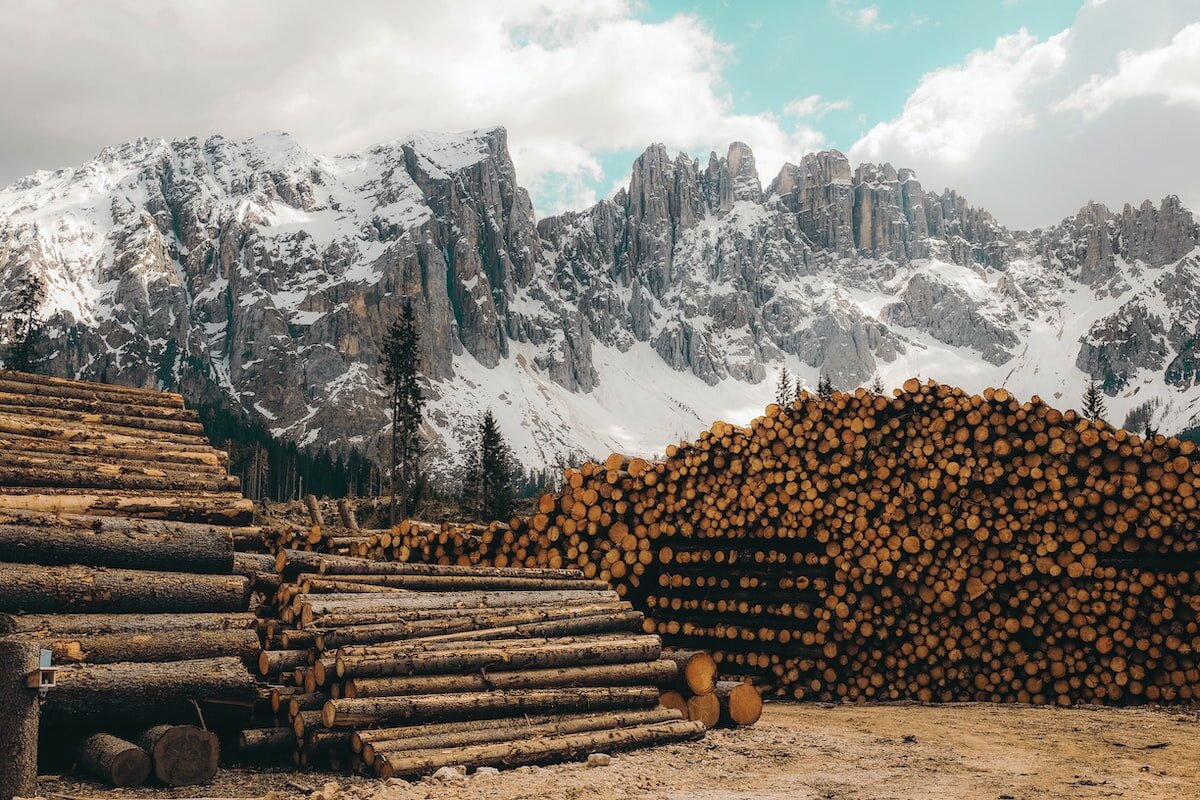 Photo by Cristina Gottardi / Unsplash