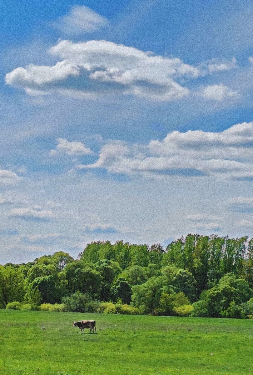 На снимке: г. Рыльск, 2023 г.