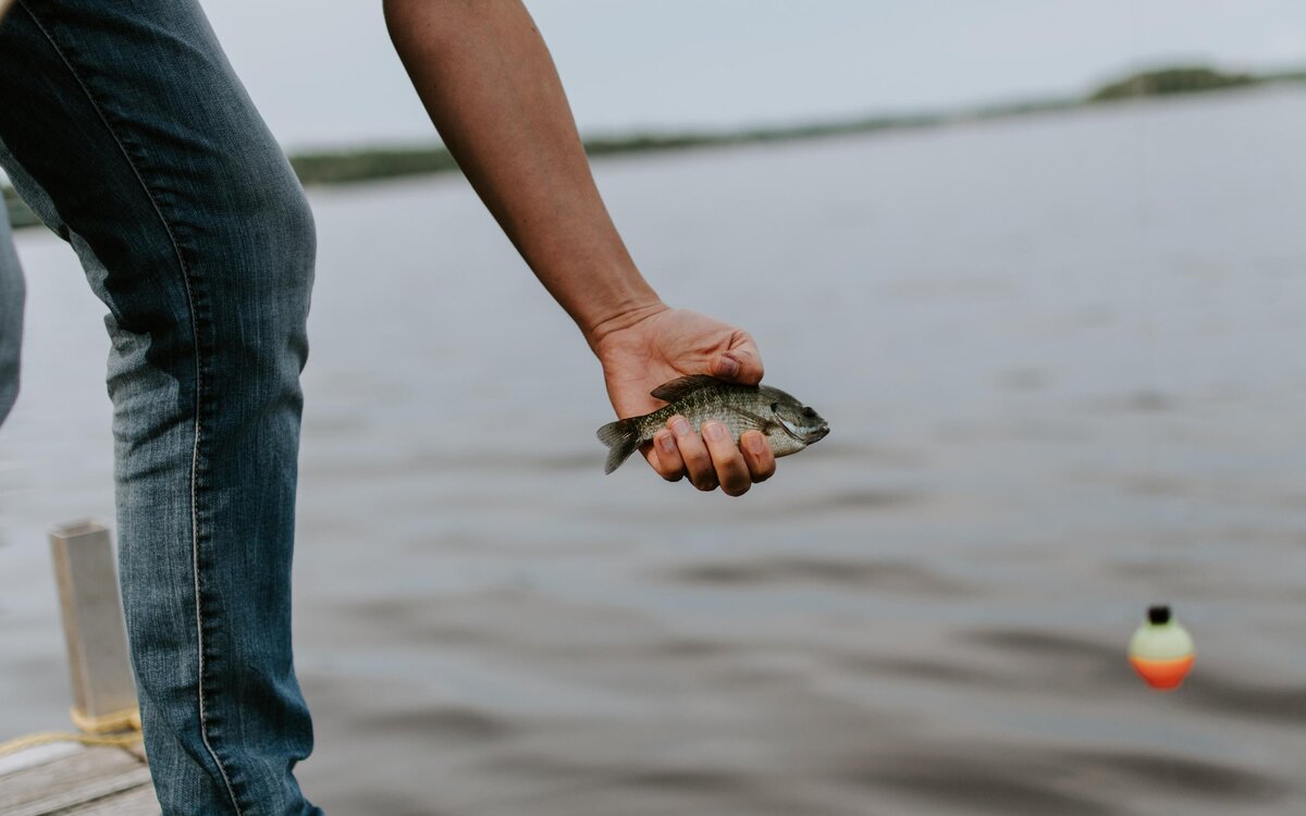    Unsplash