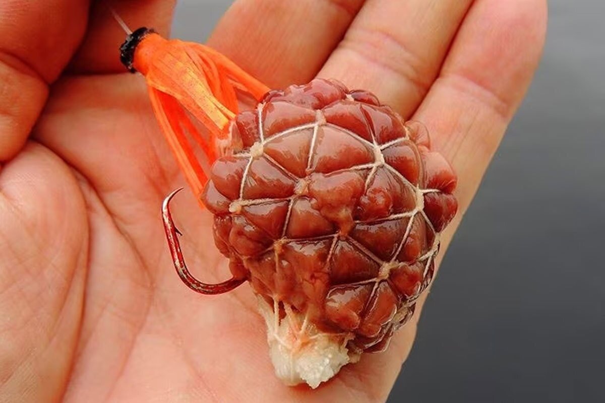 Фото с сайта: https://sun9-29.userapi.com