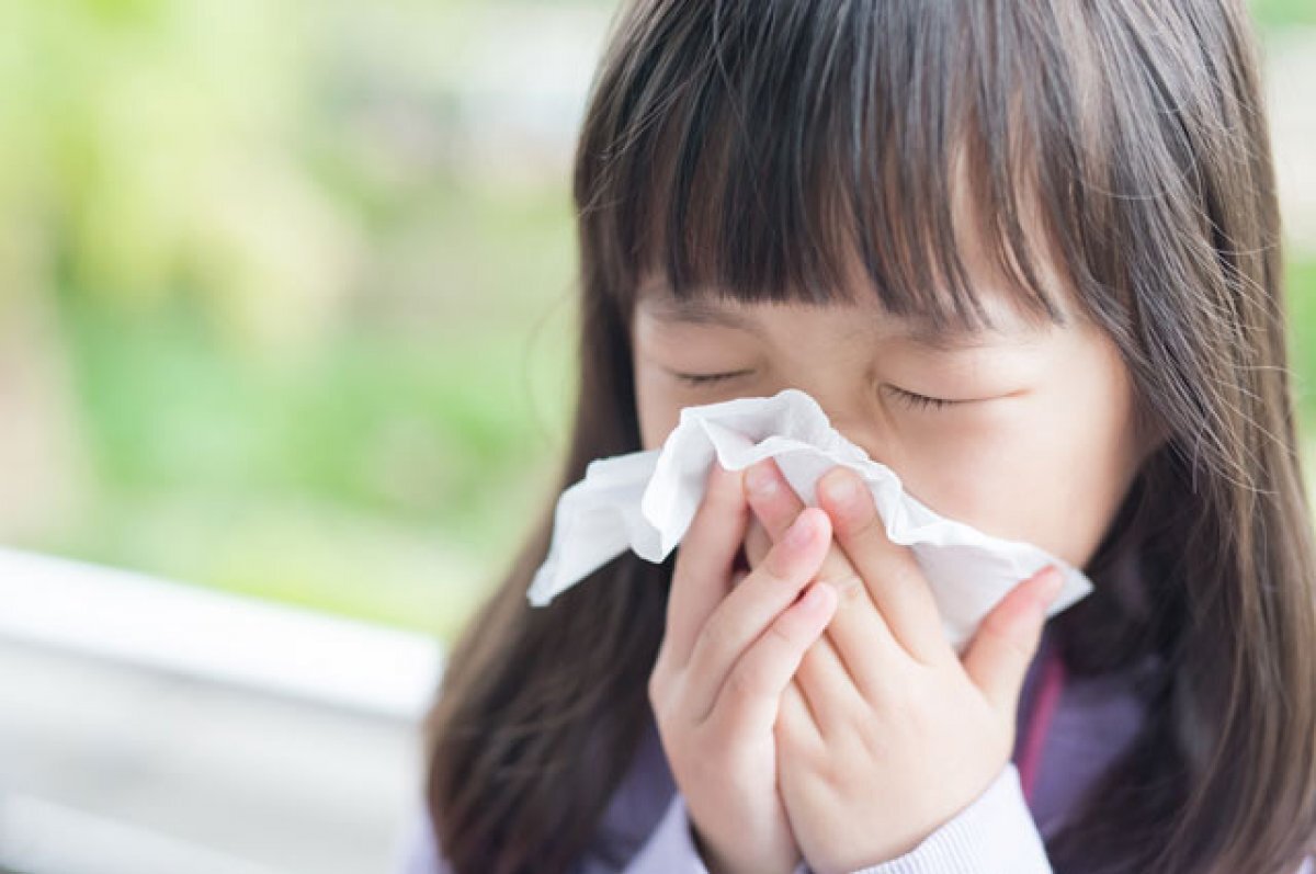    Солнце, пыльца, арбузы.