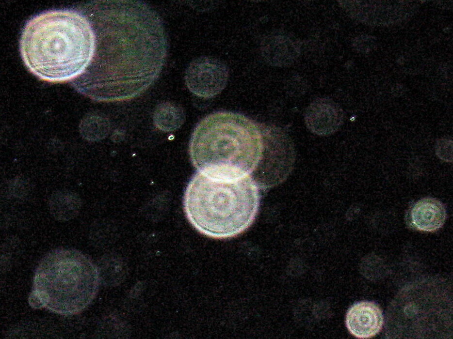 Плазмоиды. Орб плазмоид. Солнечные плазмоиды. Плазмоиды инопланетяне. Орбы плазмоиды фиолетовый.