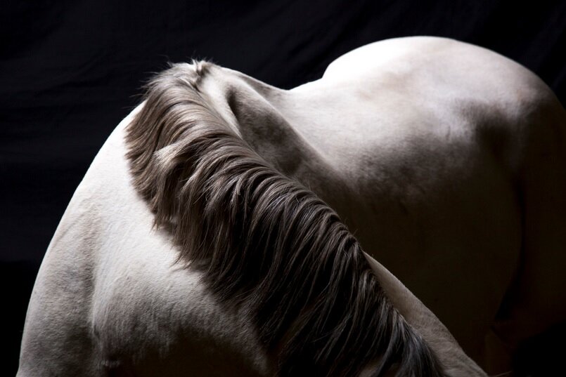 Фото из открытых источников. 