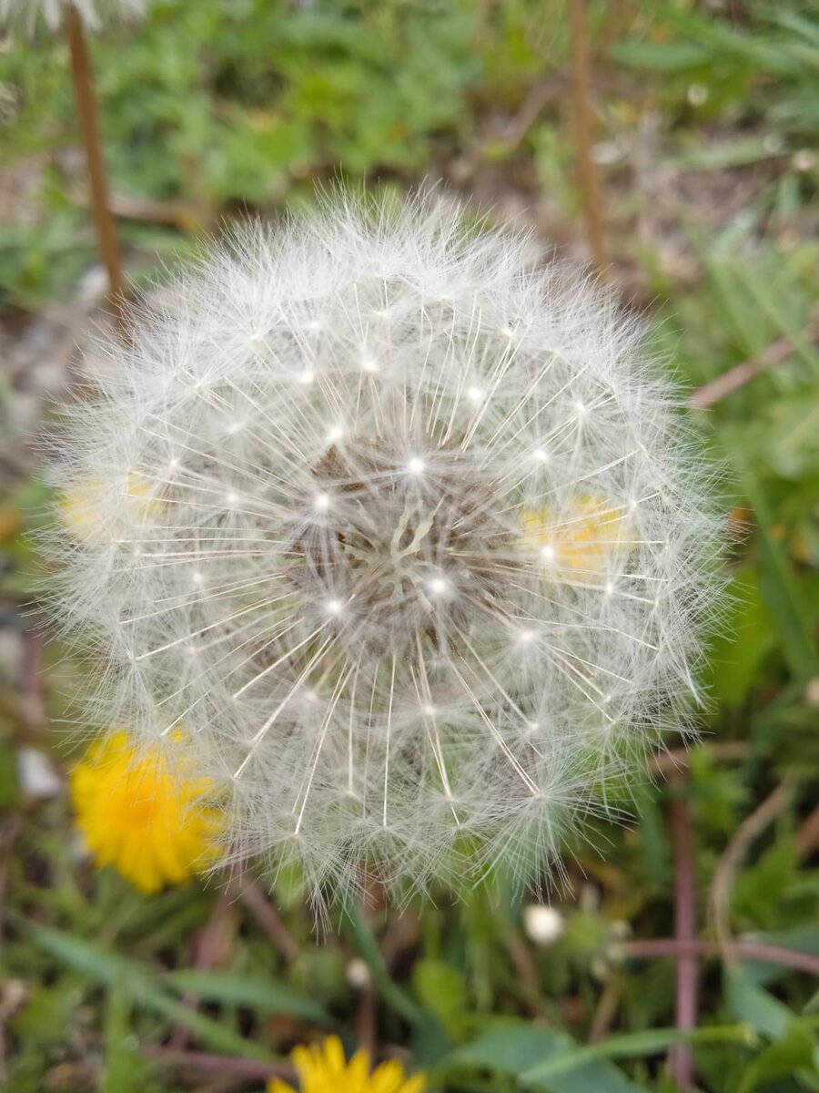Твой мир может быть таким красивым, а может быть и хрупким, тебе решать