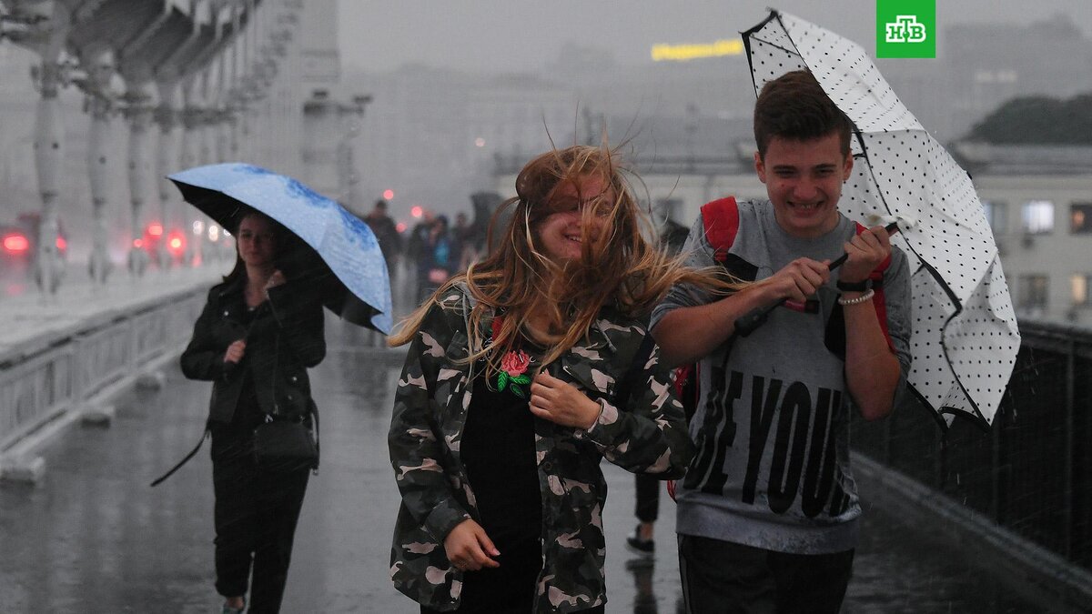    Фото: РИА Новости © 2023, Максим Блинов