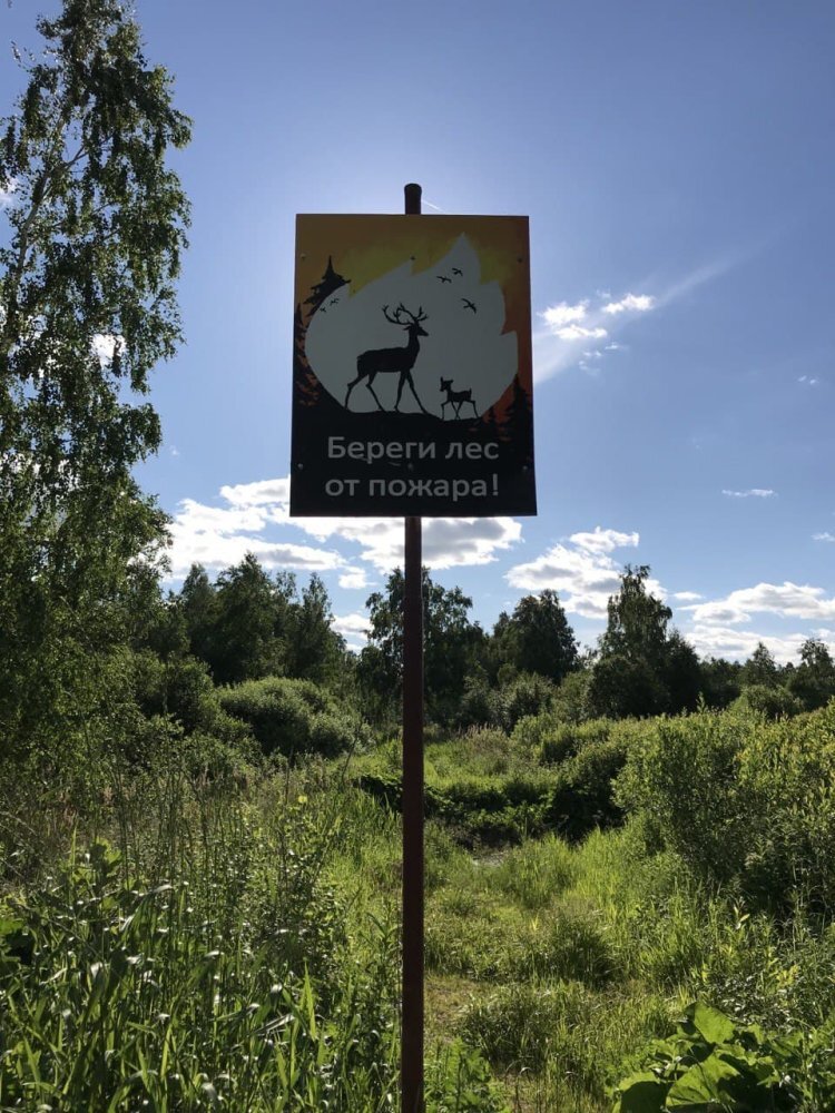    В лес пока не ходим