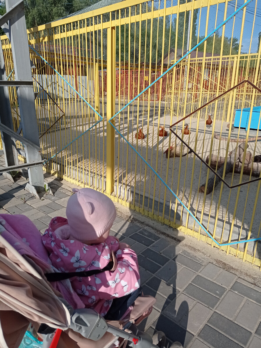 Аист, приносящий детей