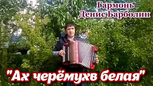 Текст песни Мигуля Владимир - Почему черёмуха