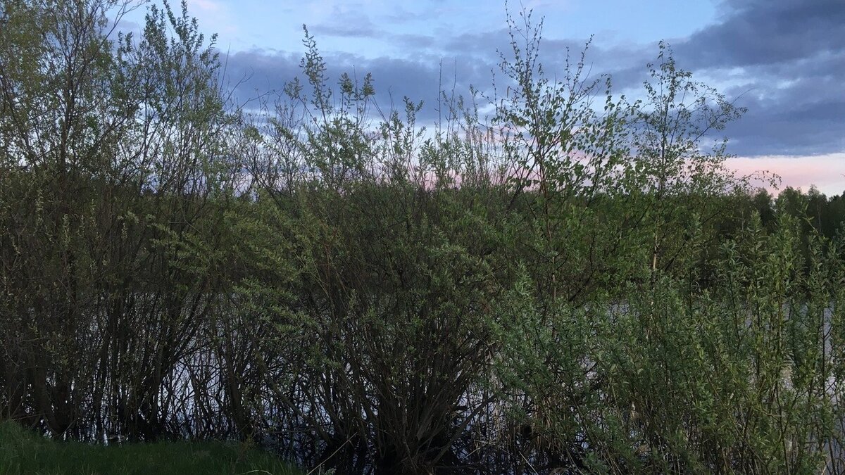     Создание экотропы на берегу реки Левинка в Нижнем Новгороде потребует вложений в размере 400 тысяч рублей. Подробнее об этом рассказала координатор движения «Поможем реке» Елена Колпакова.