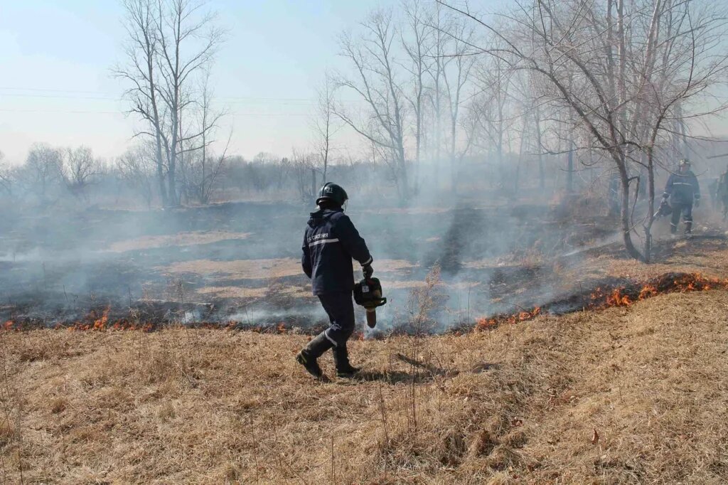   Фото: Амур.инфо