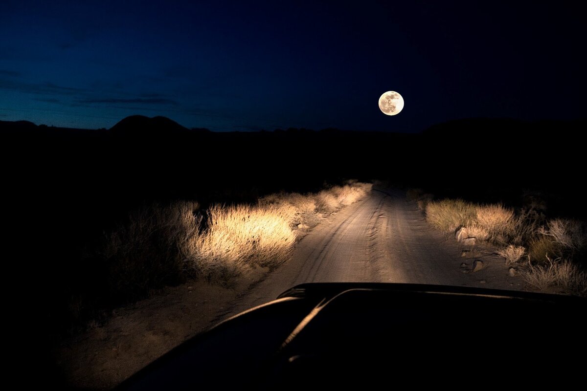 Яндекс картинки