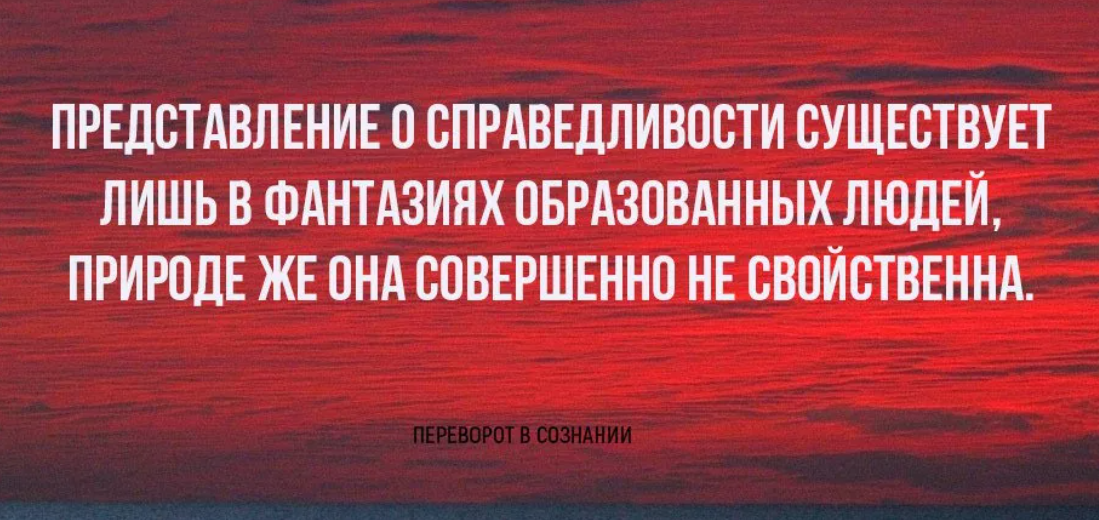 Где в мире справедливость. Высказывания о несправедливости. Цитаты про справедливость жизни. Афоризмы про справедливость. Высказывания о справедливости.