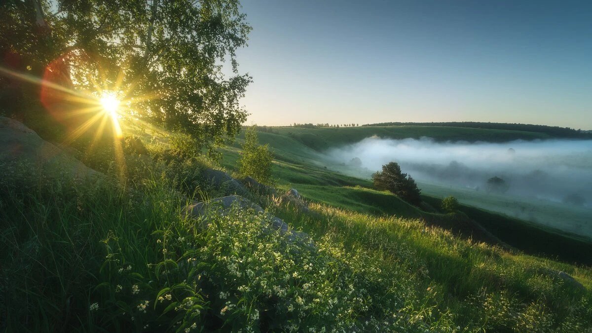 Солнце готовит Земле новые сюрпризы. Фото: pxhere.com