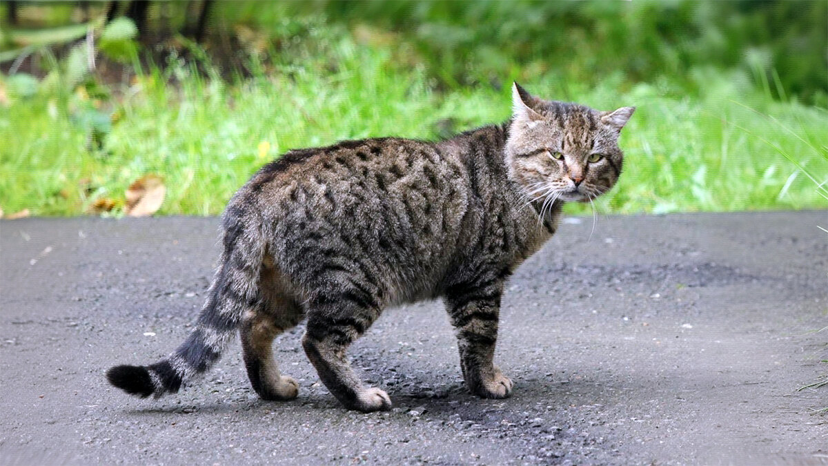 источник фото: gamerwall.pro