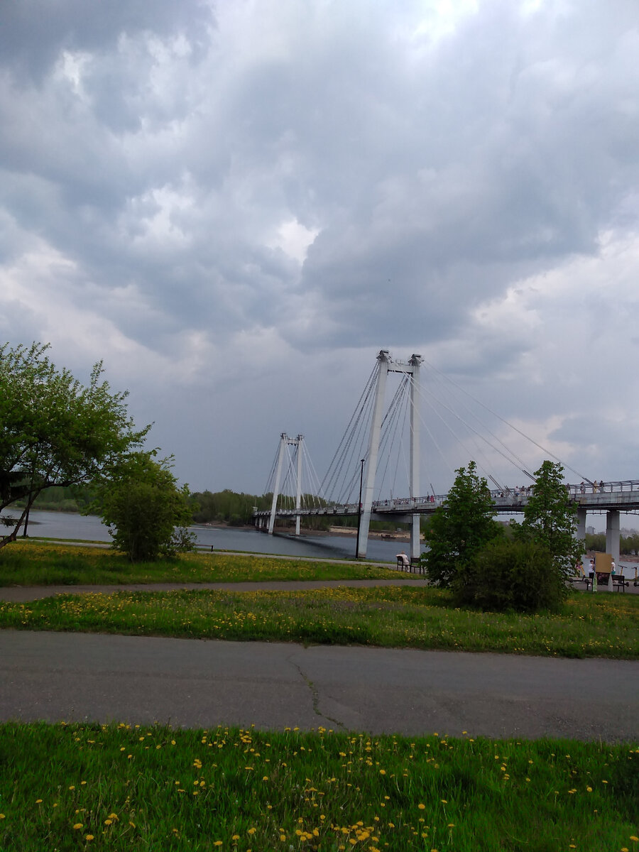 Вантовый мост