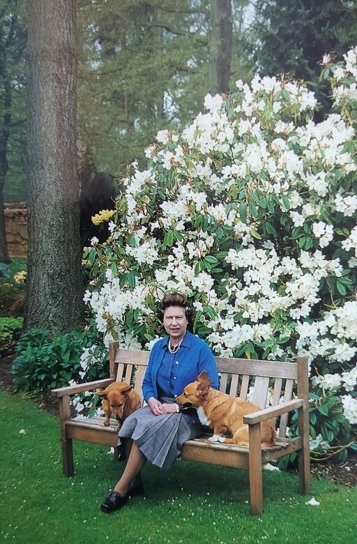 открытка из Англии