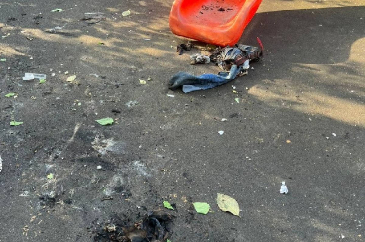    В Москве задержали подростка по подозрению в поджоге сверстника