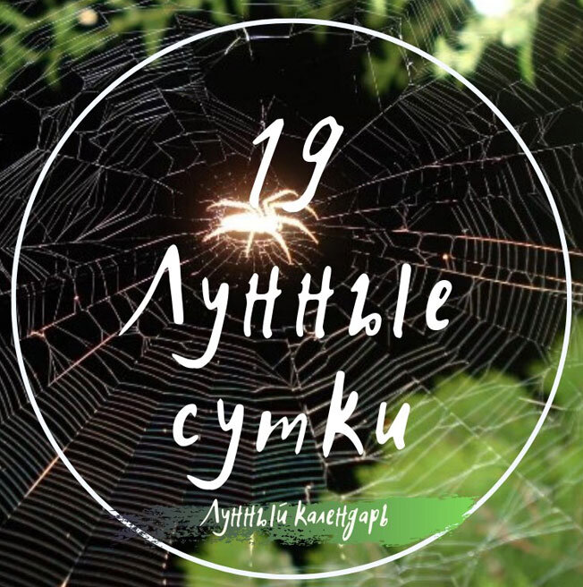 Лунный календарь, астрологический прогноз и рекомендации на 07.06.2023 год от астролога Елены Луженецкой