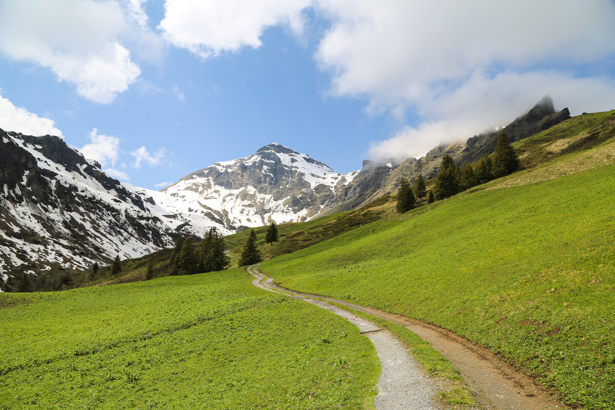 Спорт в горах. Трек на гору. Trek 4000 mountain bike. Polish track mountain. Горы нас зовут.