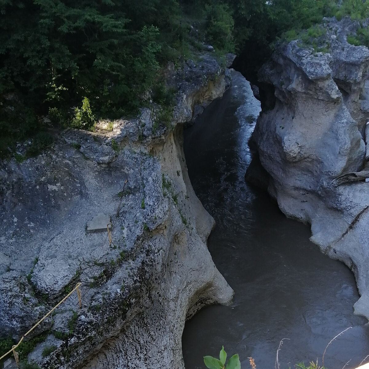 река белая в каменномостском