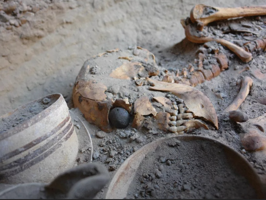 эстония находки раскопок. страшные археологические находки. необъяснимые находки археологов. невероятные находки археологов 2022. необычные находки археологов.