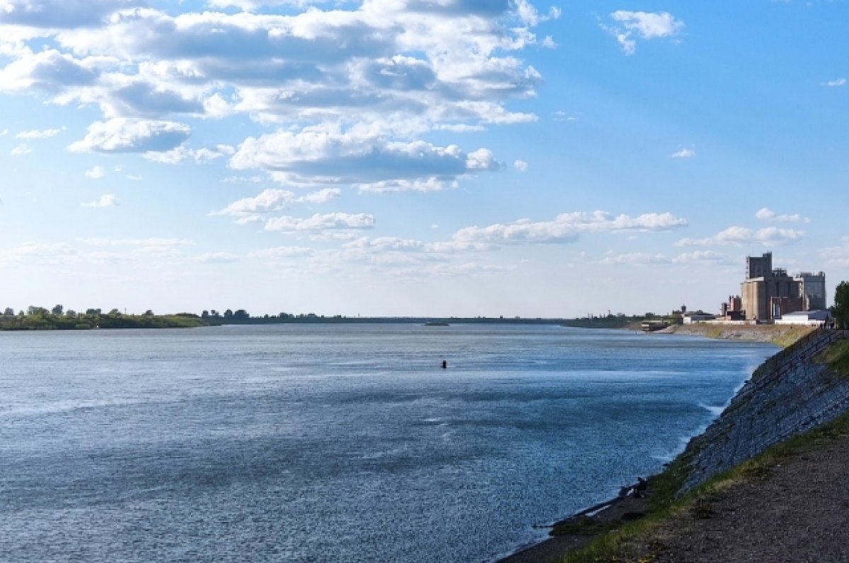    На водоемах Томской области с начала 2023 года погибли 5 человек