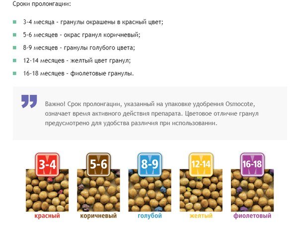 Секретное удобрение. Вносим в почву и год отдыхаем