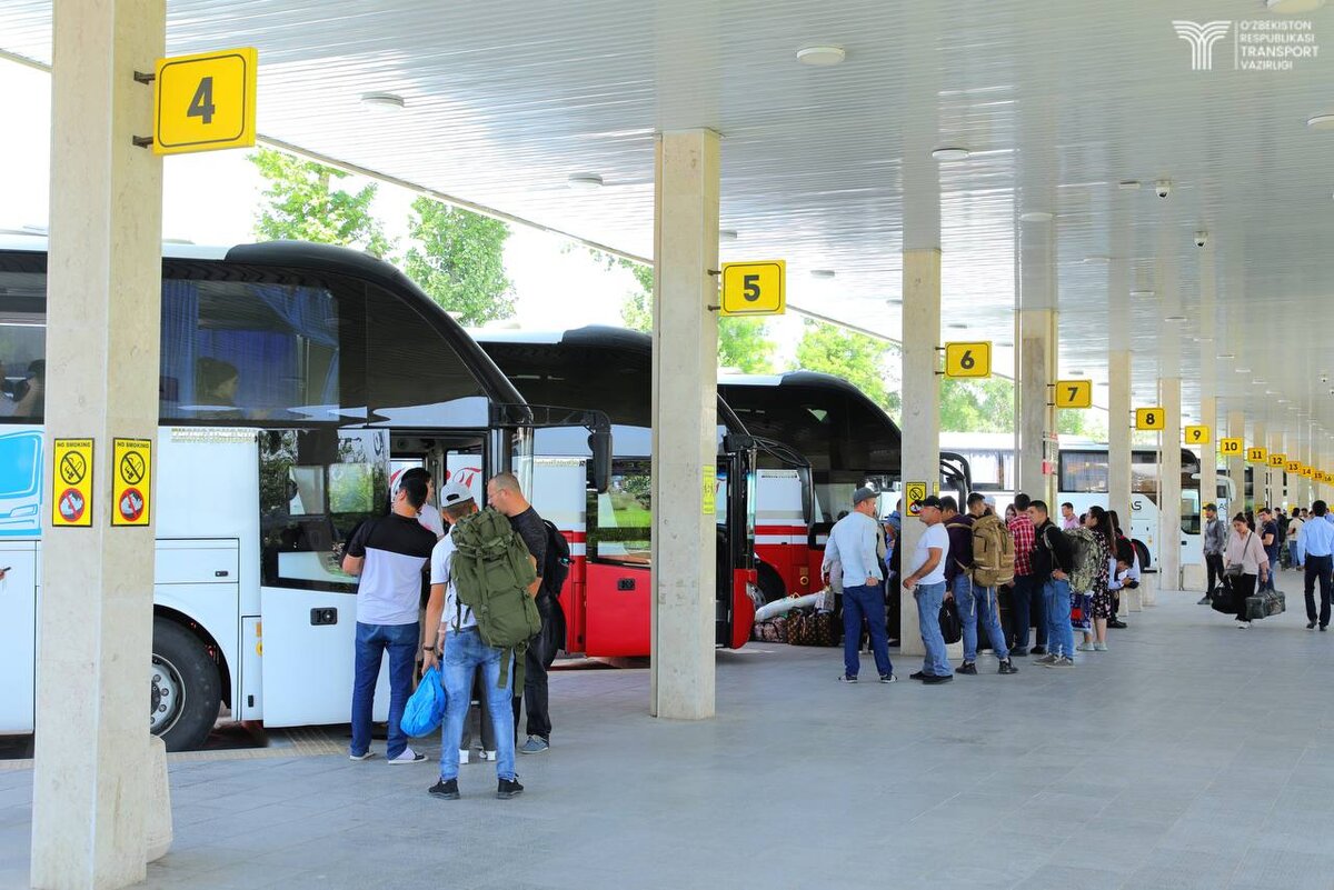 Ташкент Бухара новый автобус