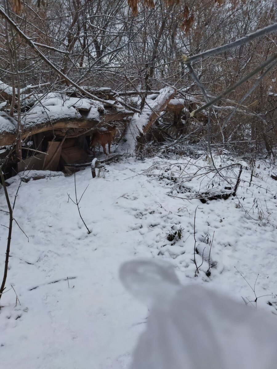 Мать Петра, Гросса и компании. Ближе к себе не подпускает