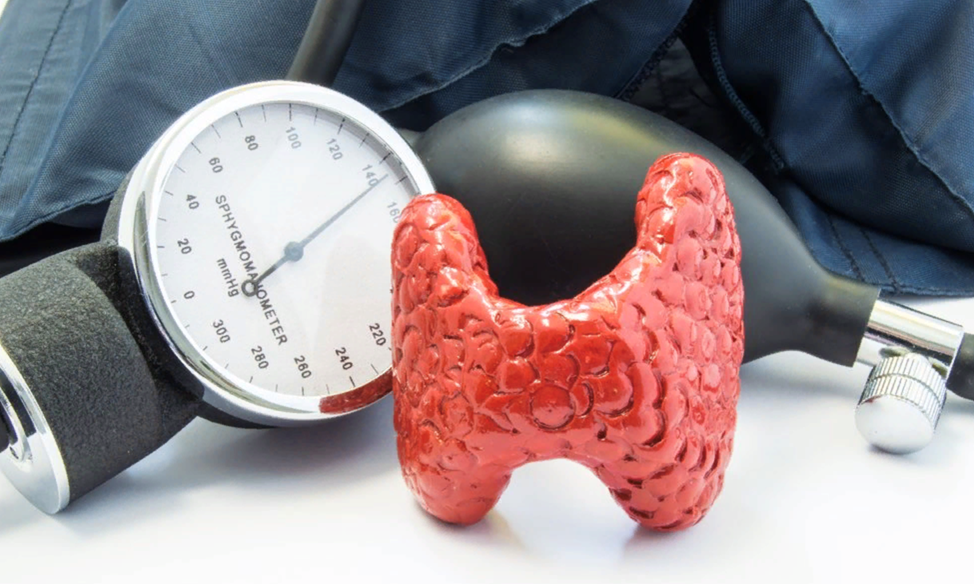 Сравнение УЗИ щитовидной железы с другими методами диагностики щитовидной железы