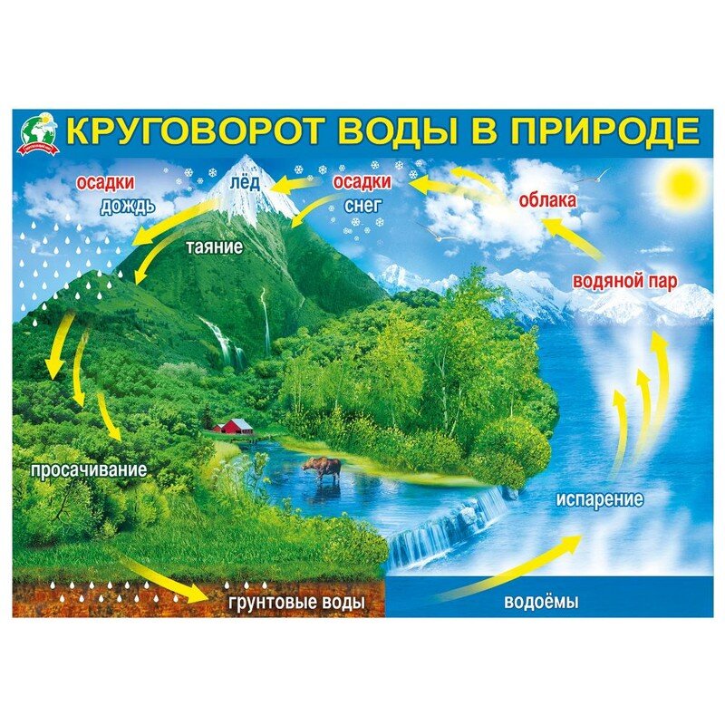 Круговорот  воды