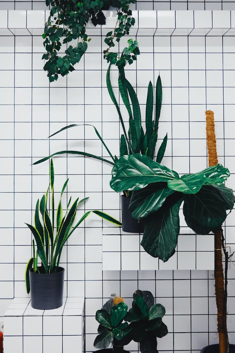 Photo by Alaksiej Čarankievič / Unsplash