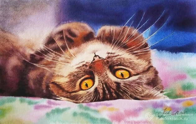 ������ ������. ������