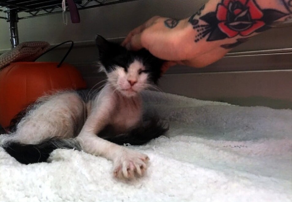 Хорошее отношение, все меняет